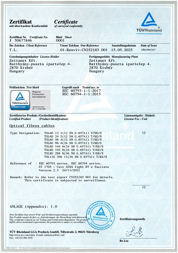 Zettanet TÜV Rheinland certificate